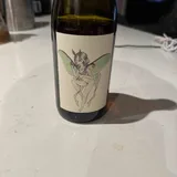 Preview of Circle Field Blend