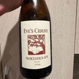 Preview of Northern Spy